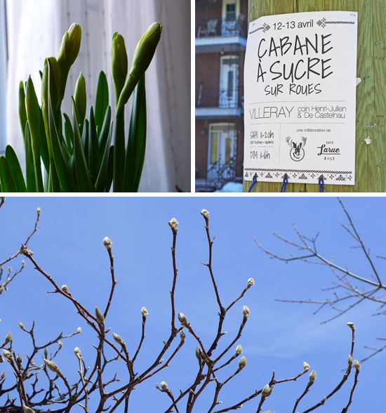 Faaxaal Photos Nature Gratuites Et Libres De Droits Photo De