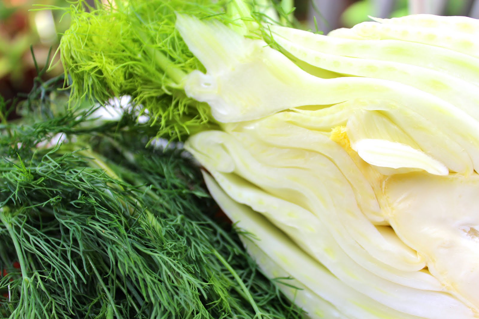 Paper Bag Kitchen Fireside Fennel and Dill Salmon