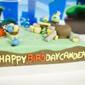 Angry Birds birthday party