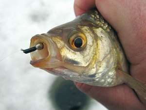 Мормышка "Гвоздешарик"