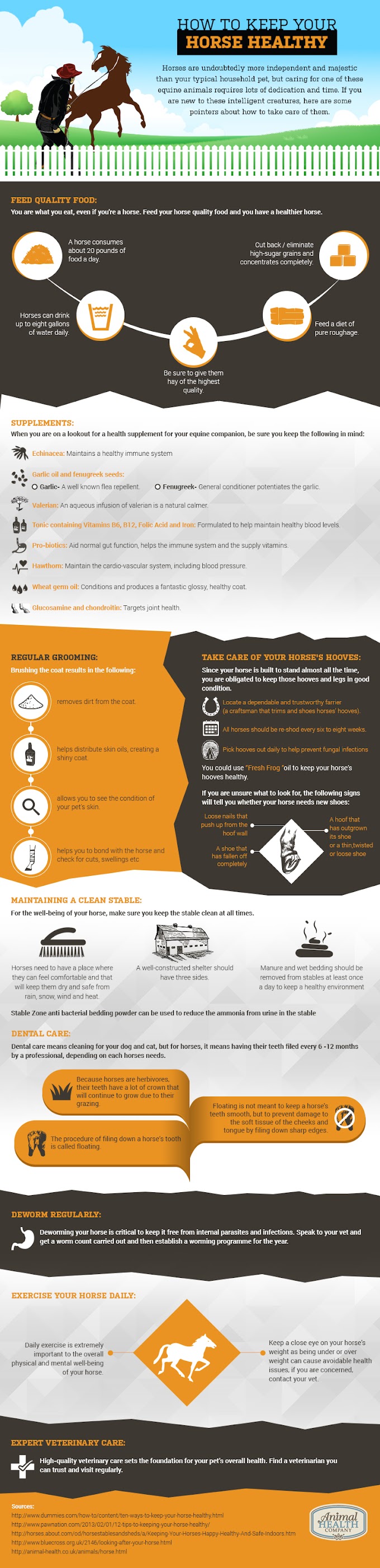 Infographic How To Keep Your Horse Healthy Savvy Horsewoman