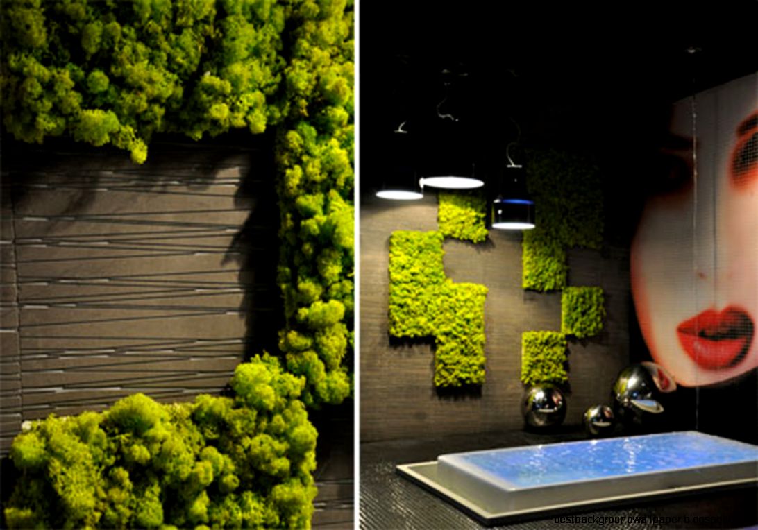 Indoor Garden Ideas Home Ideas Decor Gallery Indoor Garden Ideas Home Ideas Decor Gallery