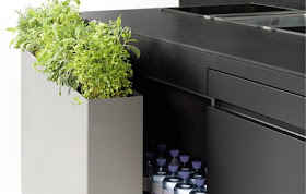 zioła w kuchni meble kuchenne