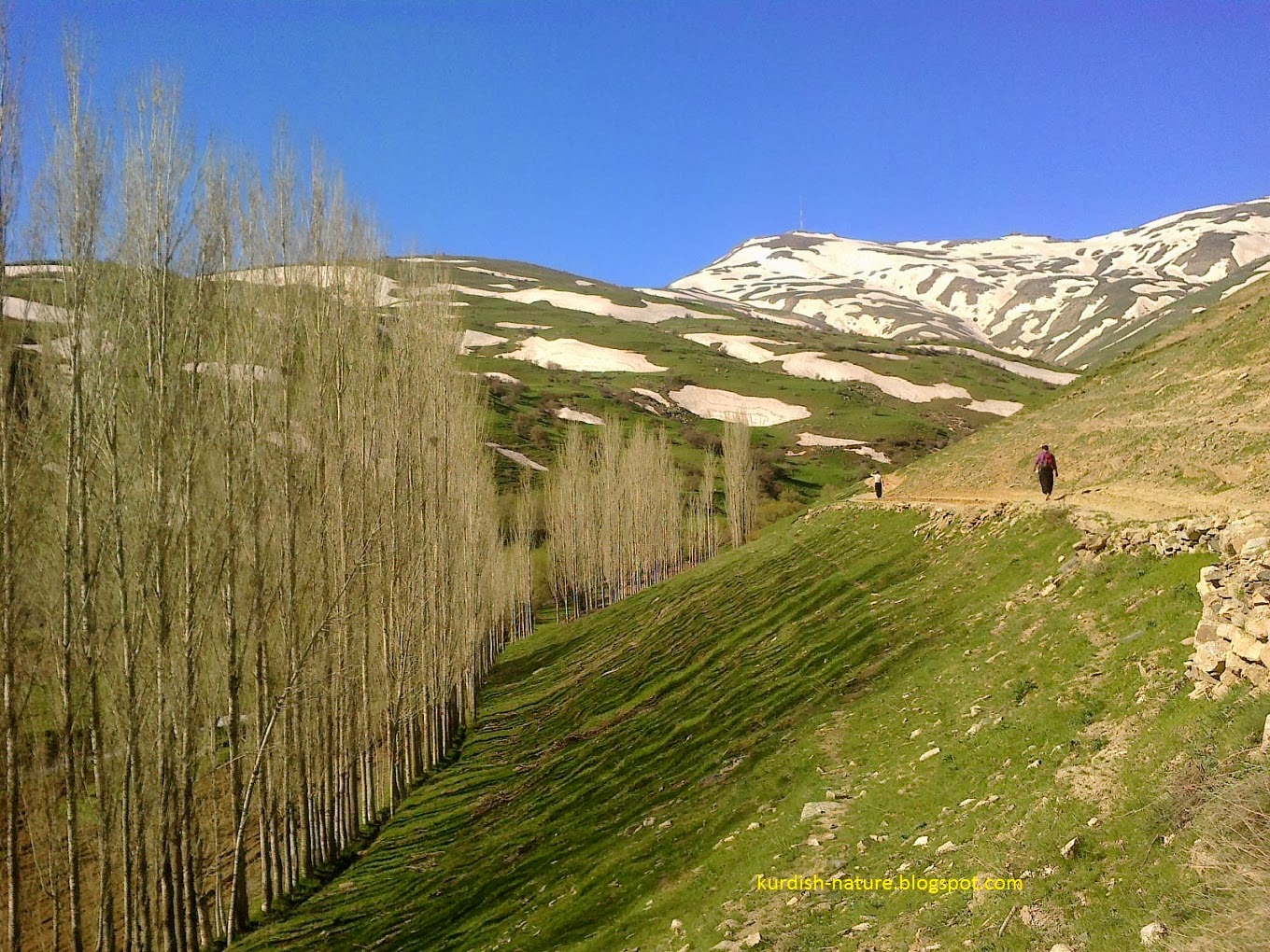 NATURE KURDISTAN KURDISTAN BANEH (xafurede) /spring