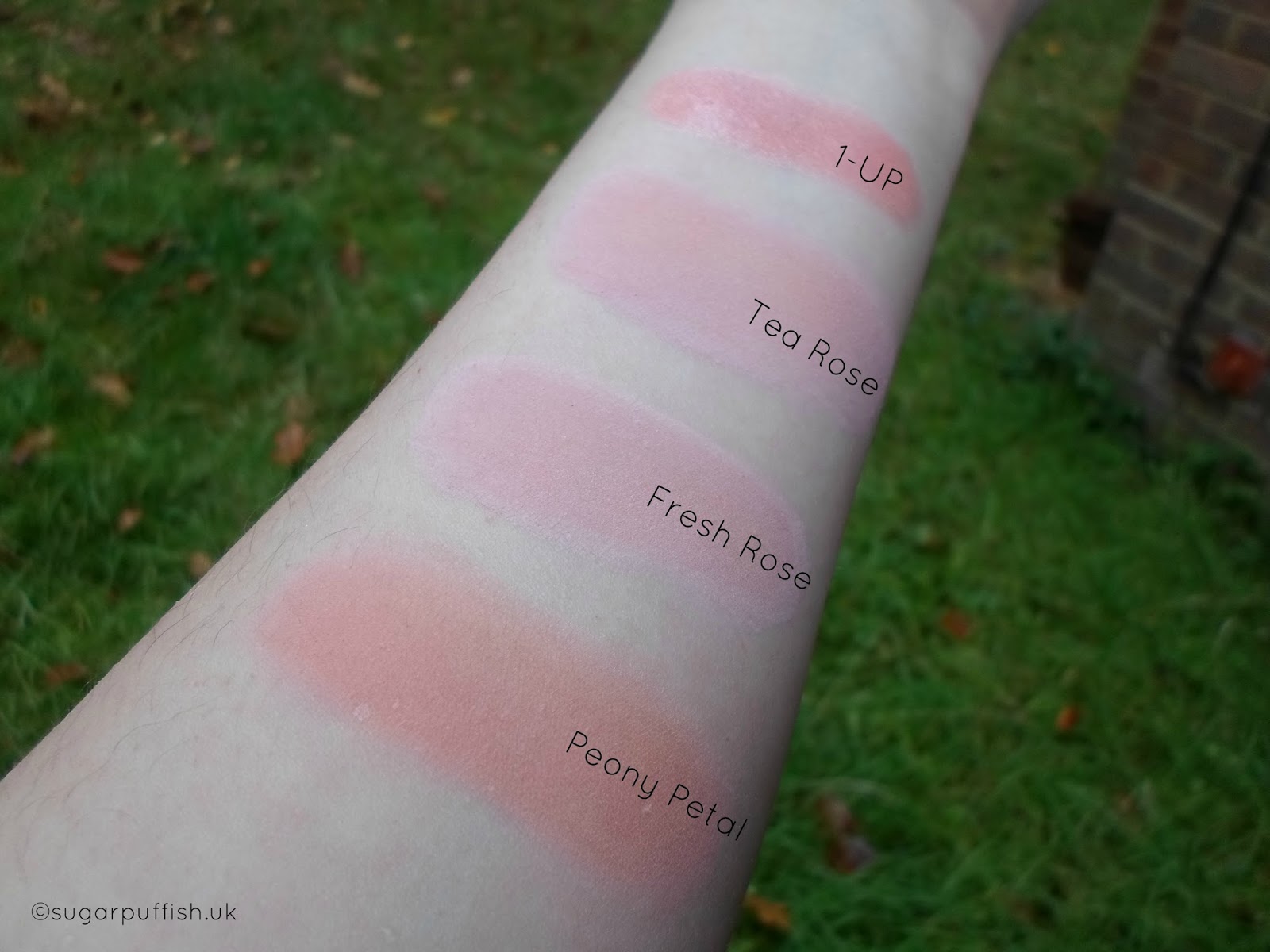 Natural Makeup Blush, Eyeshadow and Lip Tint Sugarpuffish