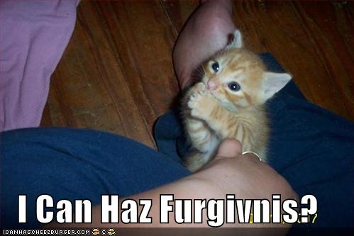 http://3.bp.blogspot.com/-ENhGL0VDm7s/Td_R7h9y6eI/AAAAAAAAACw/W1HVSKe8s7I/s1600/funny-pictures-orange-kitten-wants-forgiveness.jpg