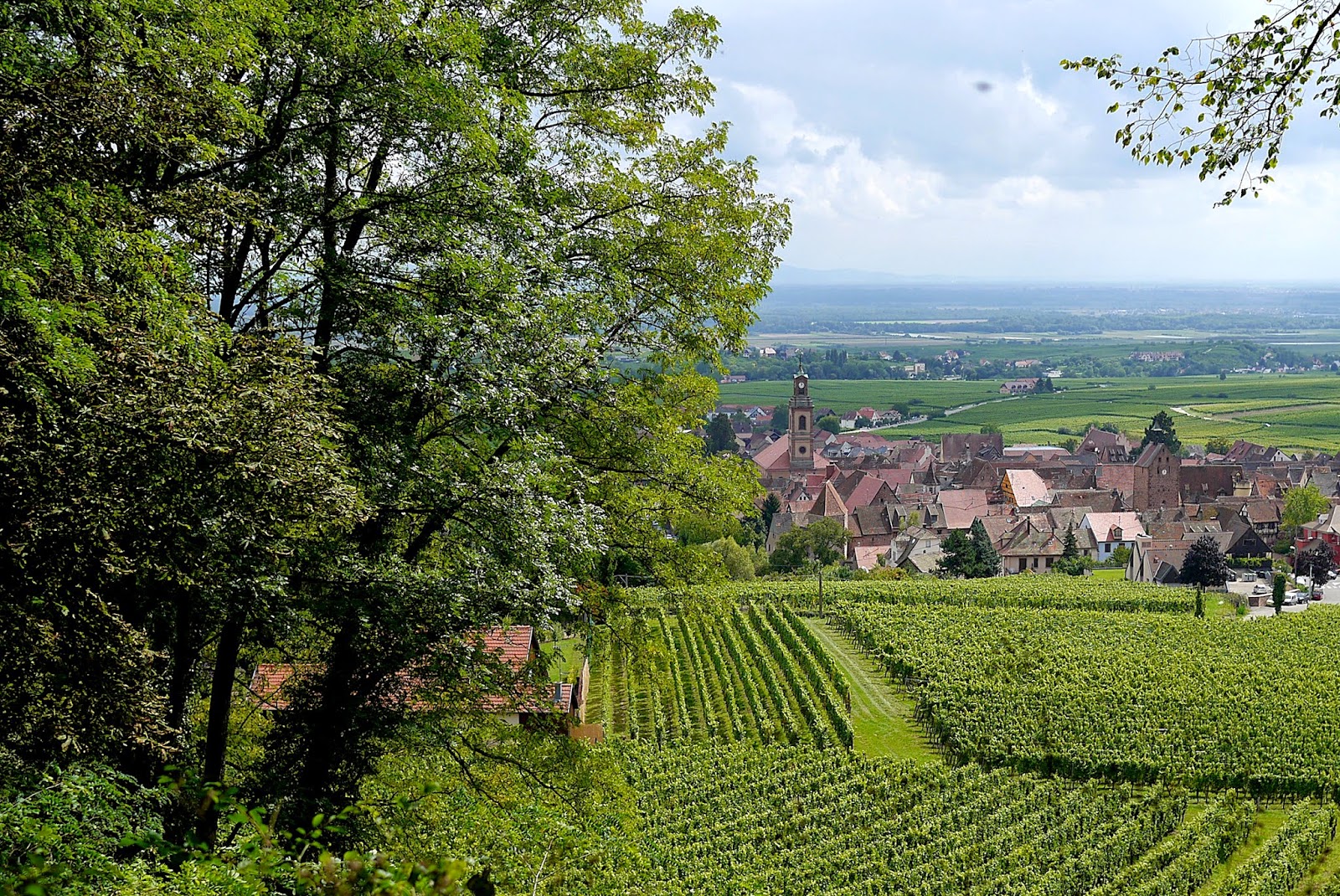 Curiositas Der Mittelalter Blog