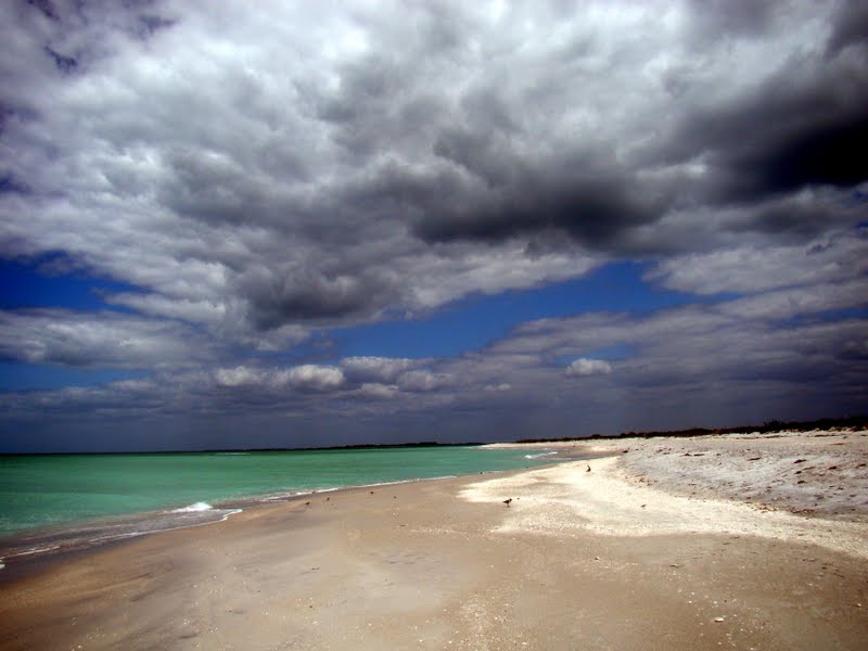 Pine Island, Florida Beach Day on Cayo Costa Florida