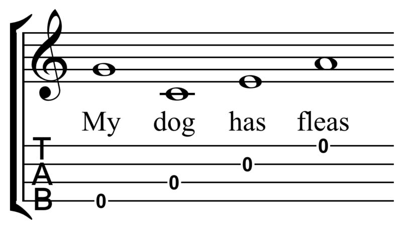 wiki+ukulele+My_dog_has_fleas+copy.jpg