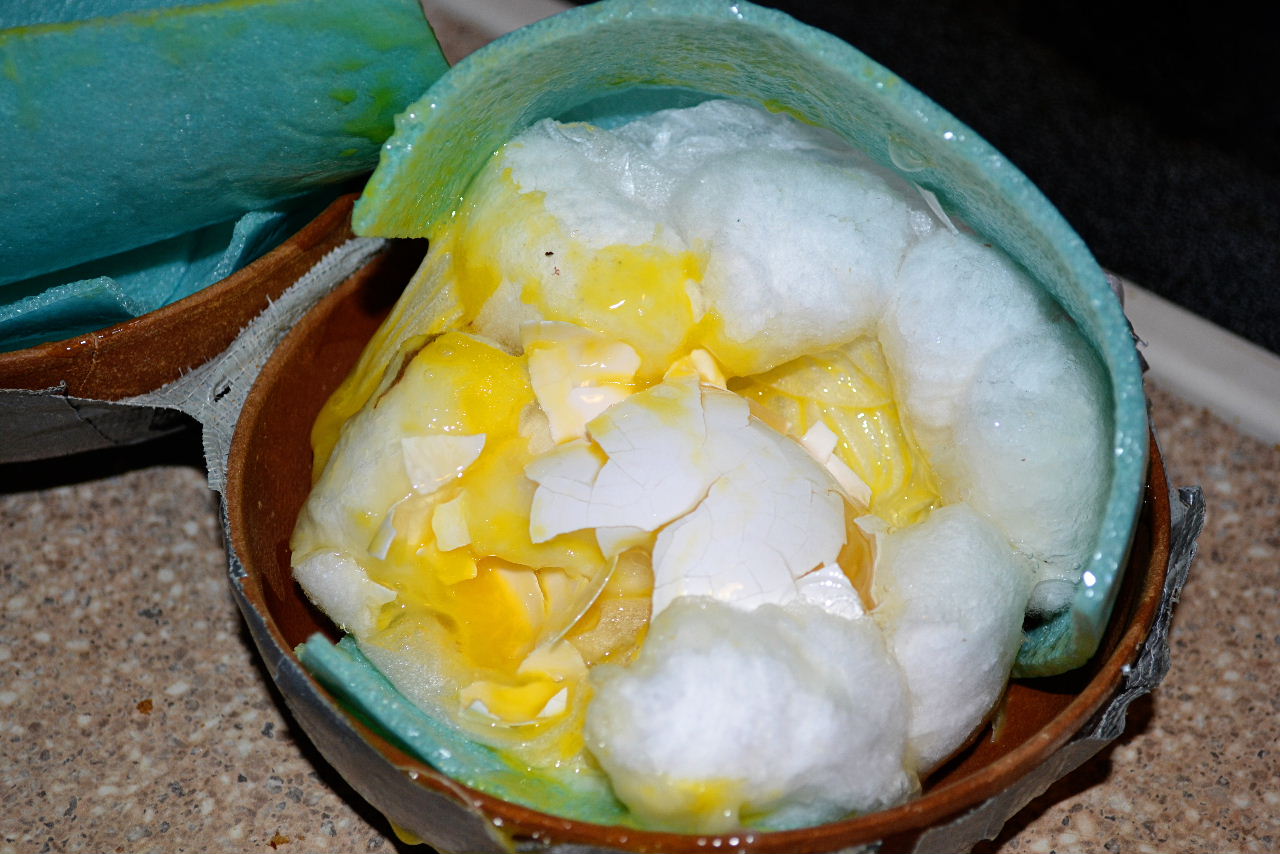 The Adventures of the Luidhardts Egg Drop Experimenting....