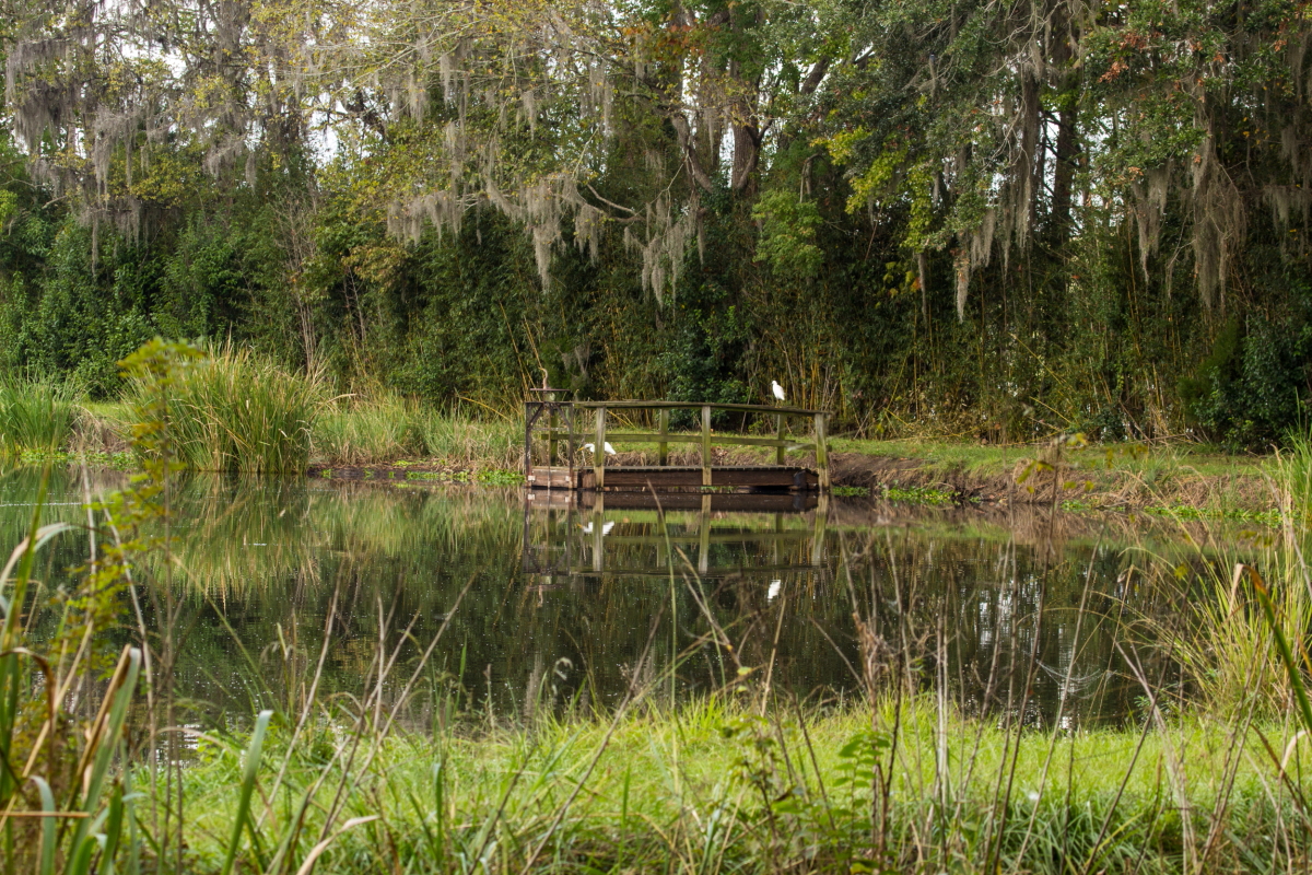 On The Road Full Time Rving Mulberry Plantation