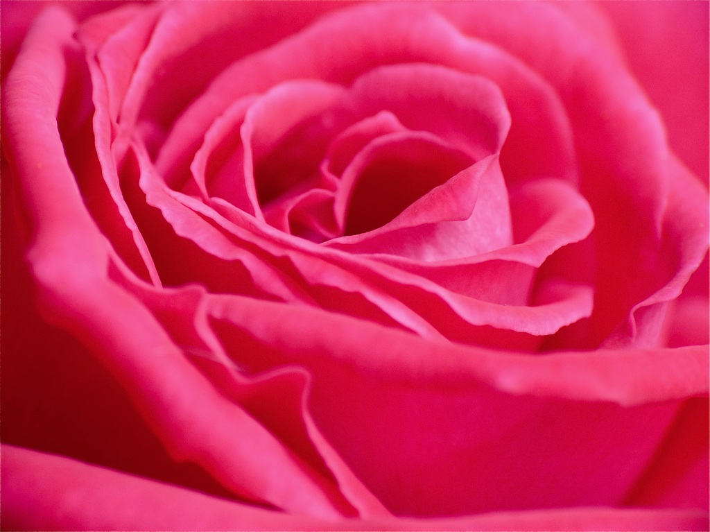 Pieces of Contentment Gift of Grace