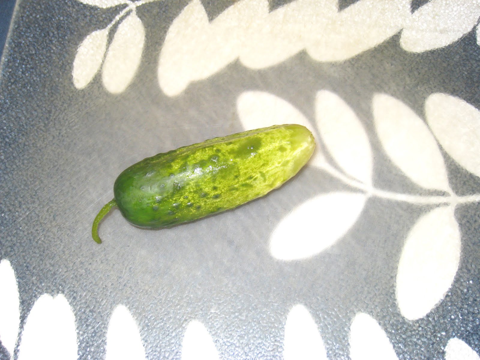 Cooking without a Net DIY Pickles