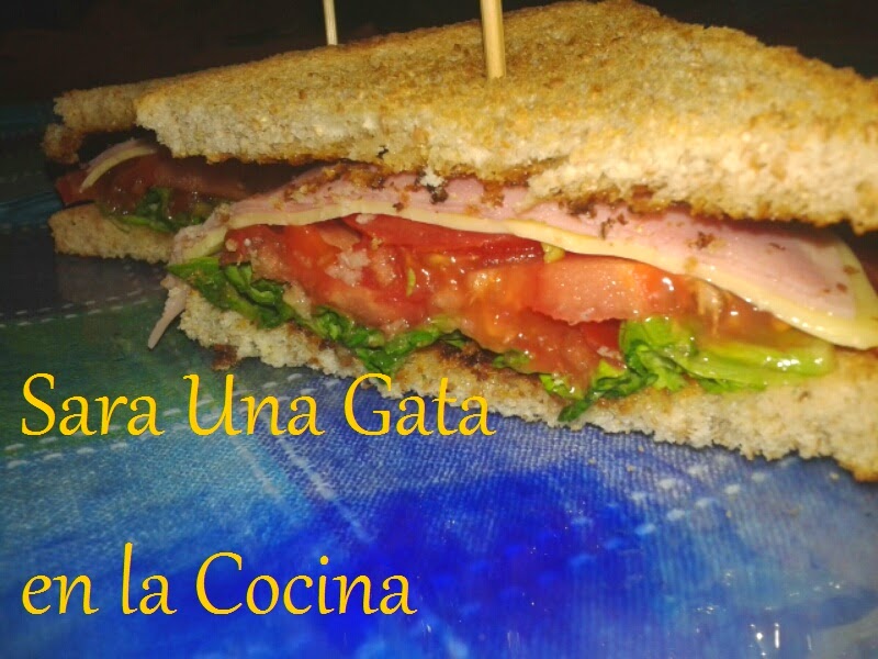 Sandwich Vegetal Integral