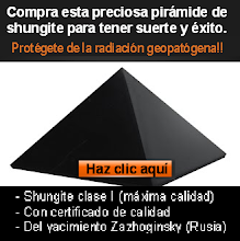 SHUNGITE PROTECTOR Y BENÉFICO