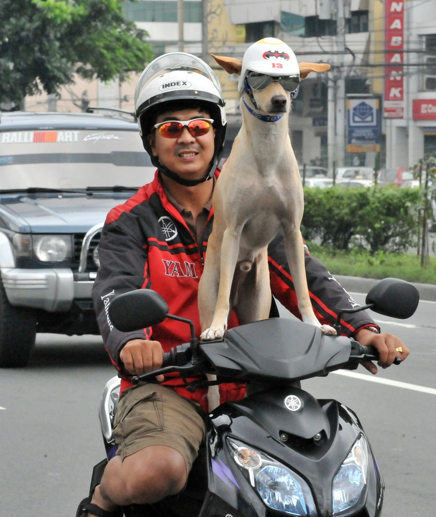 Motoblogn Everybody�s Got Something To Hide Except Me And My Monkey