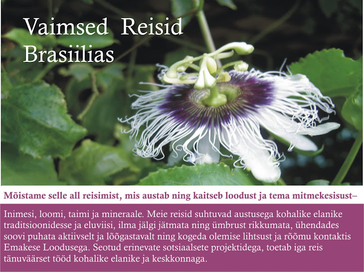 VAIMSED REISID BRASIILIAS