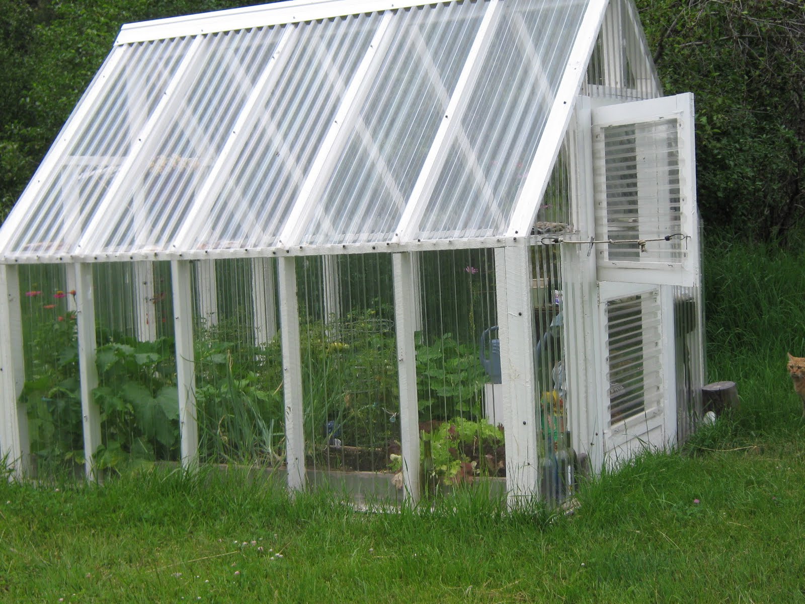For love of the great outdoors!: The Lush Greenhouse
