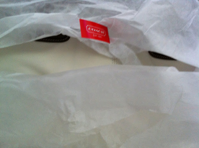 ������ ����� ����� ���� ����