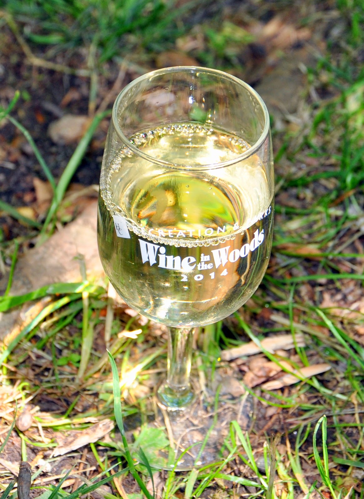 Fun Times at Wine Festivals Wine in the Woods MidAtlantic Daytrips