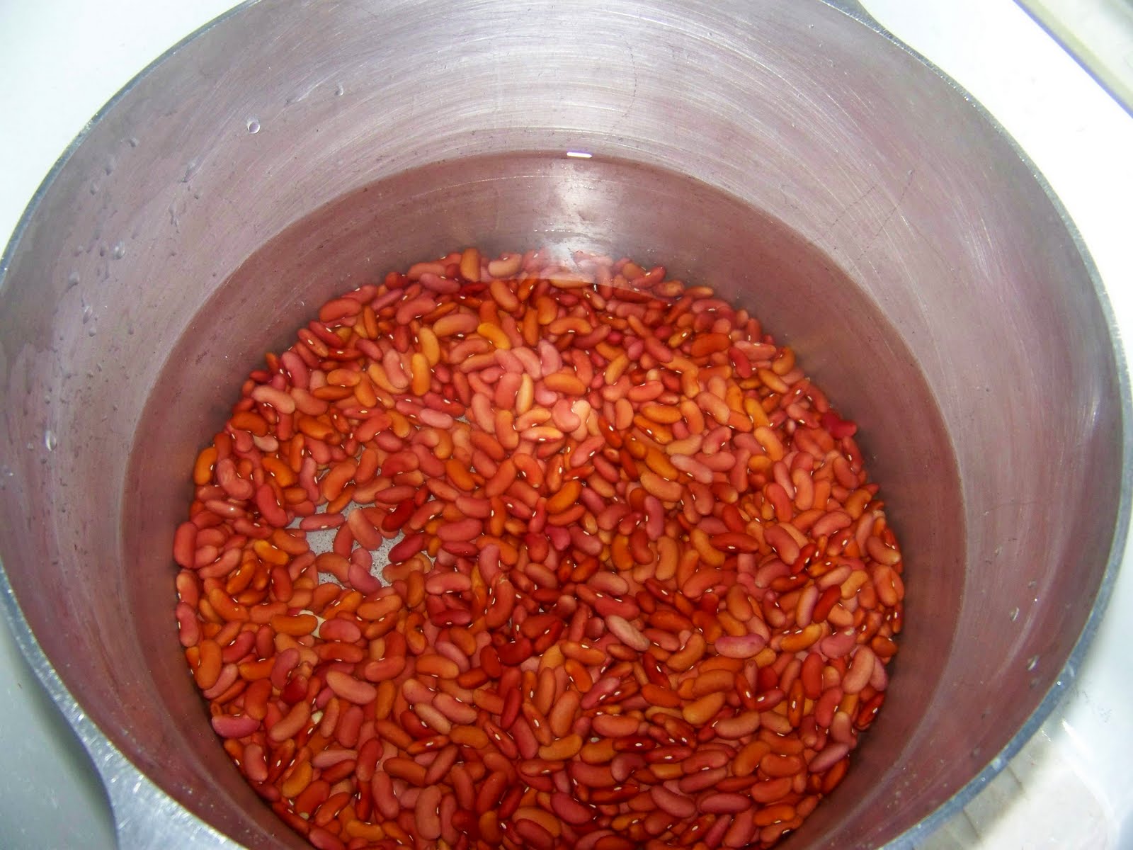 Hickery Holler Farm Canning Dried Beans