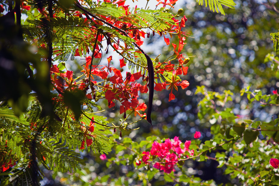 Photo Carraol Images of Mexico City December 2011