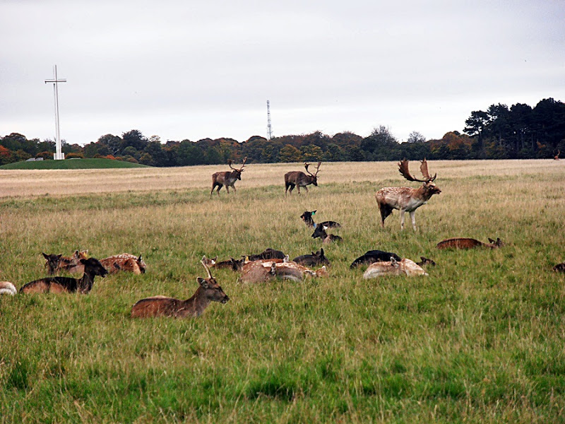 PA201036.JPG