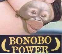 bonomo power