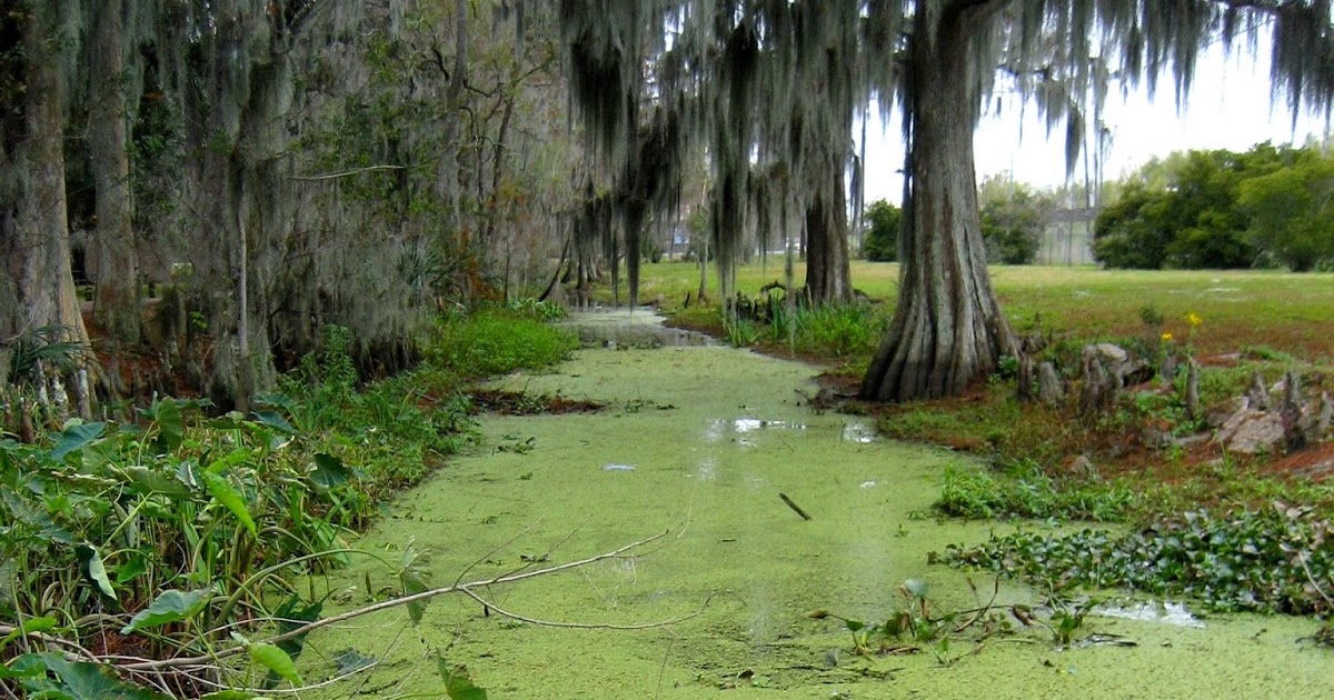 Living Rootless City, Part 1 Lake End Beauty