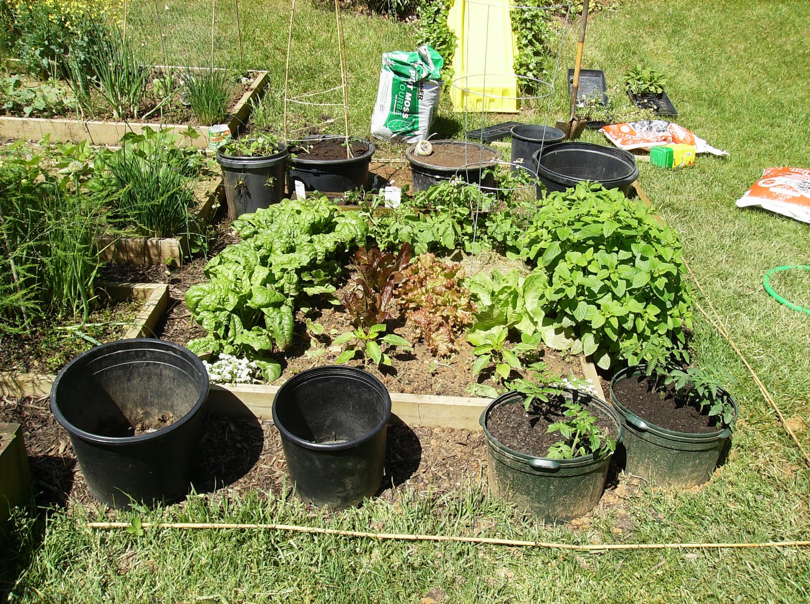 The Rusted Vegetable Garden