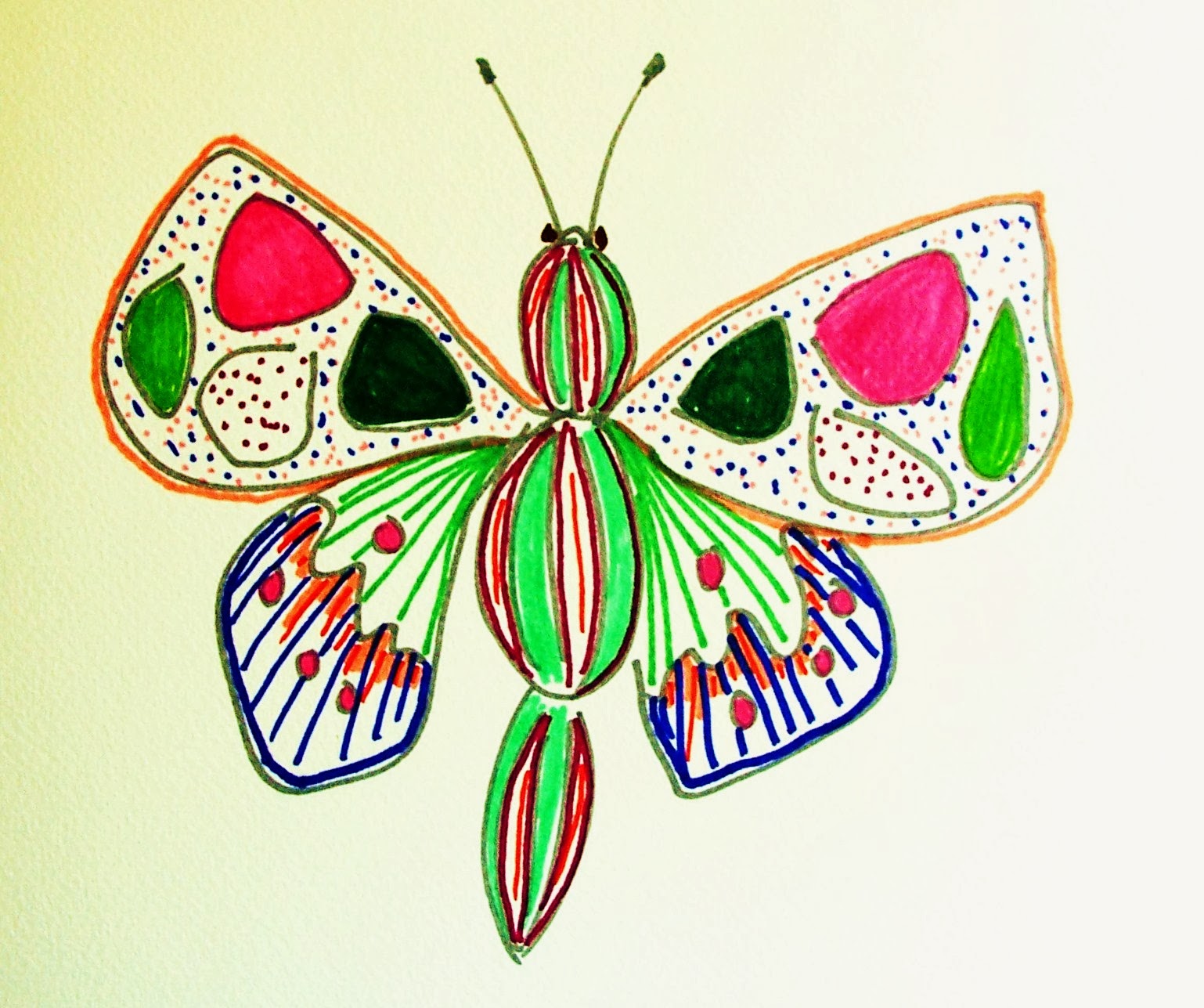 Love, Sandy BUTTERFLY EVOLUTION