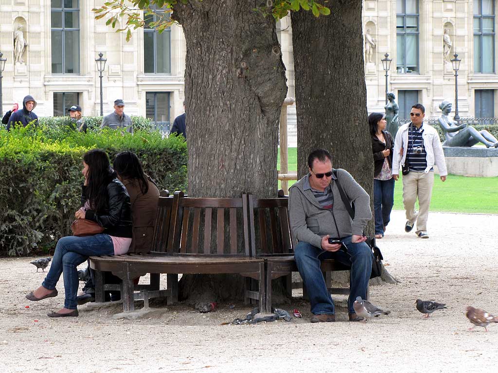 Benches Around Trees