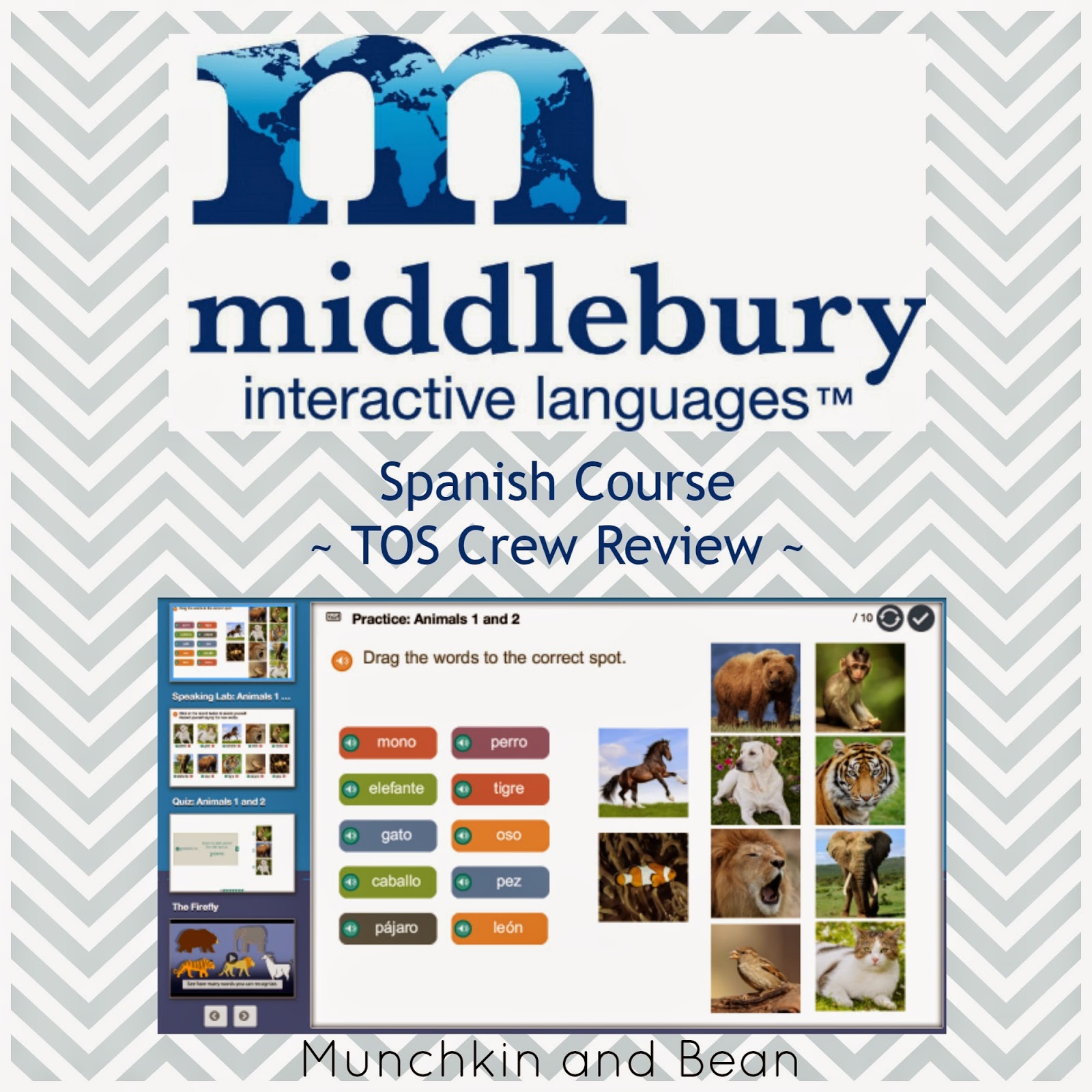 Munchkin and Bean Middlebury Interactive Languages Review