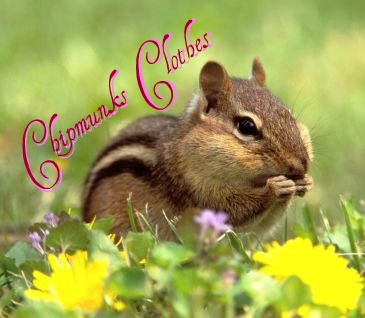 Chipmunk Clothes