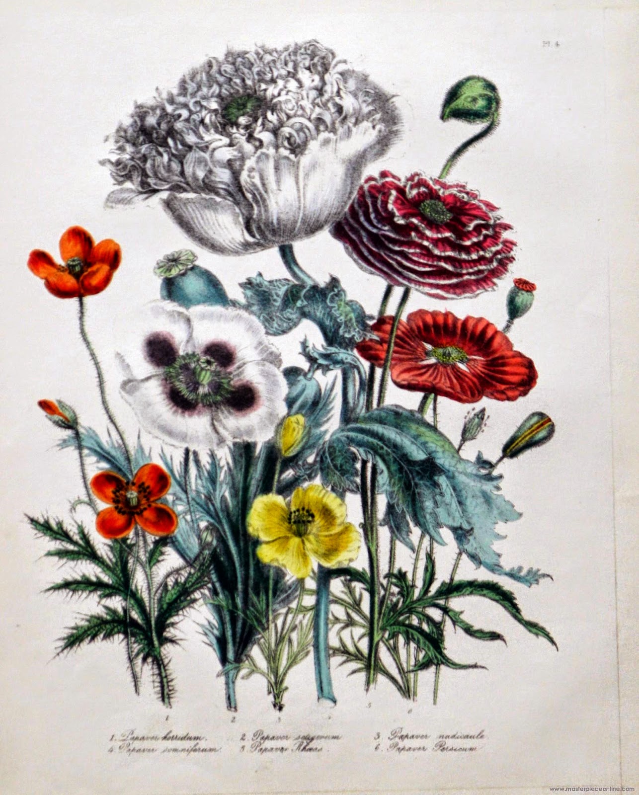 Infotainment @ www.keralites.net Fun & Info @ Keralites.net