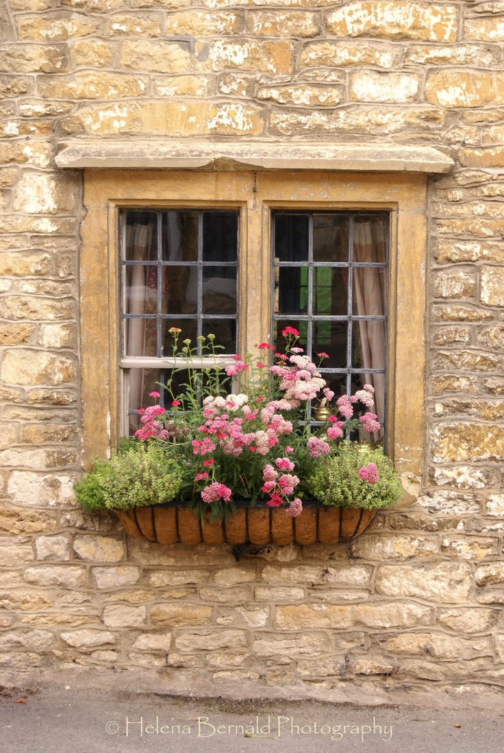 Hydrangea Hill Cottage windowboxes