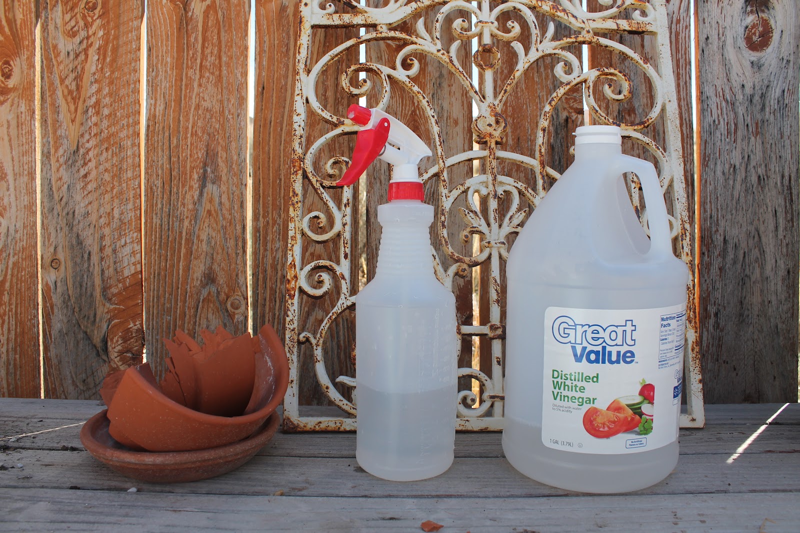 Apple Cider Vinegar Recipe To Kill Weeds