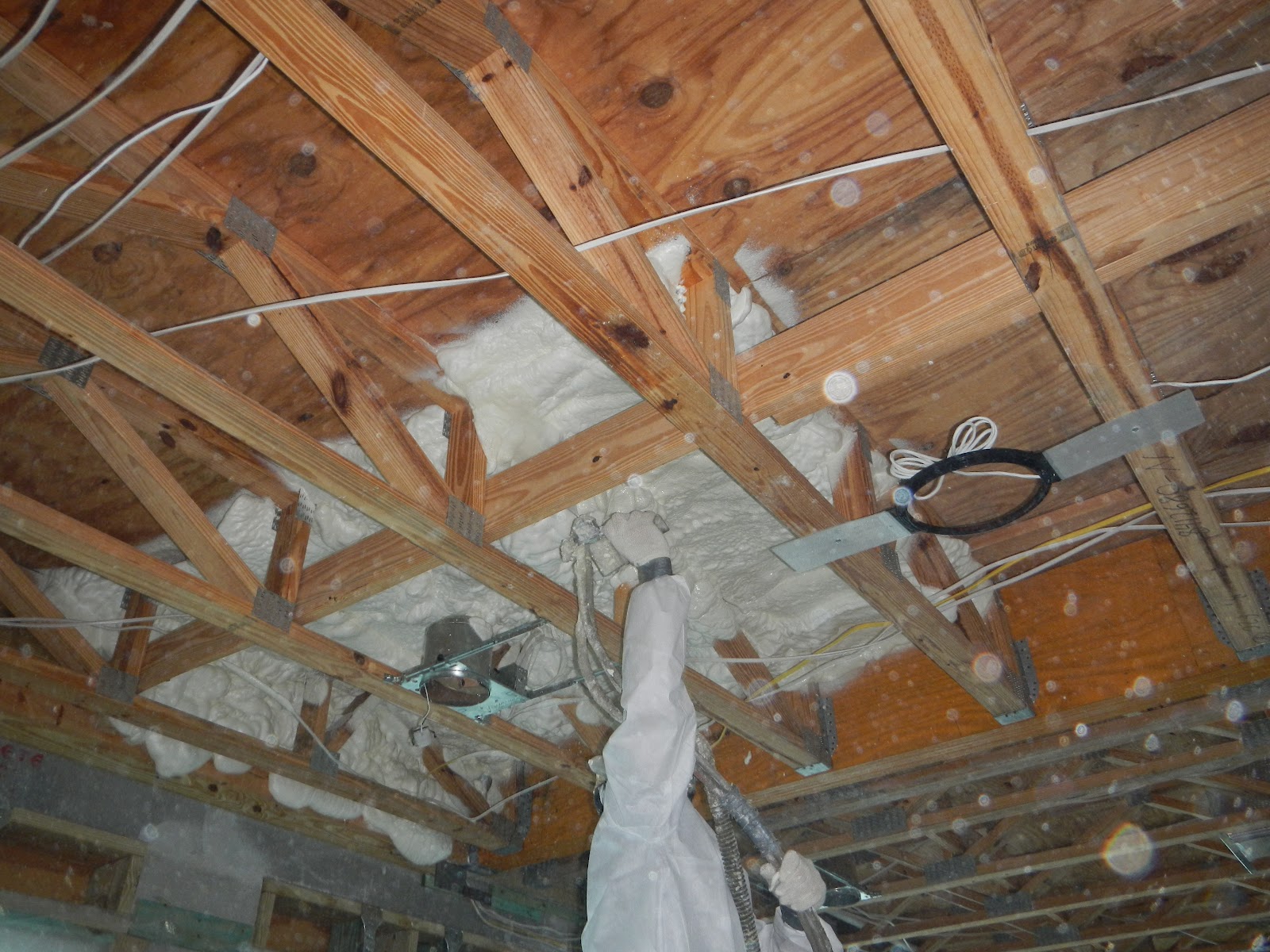 The Litschgi Residence