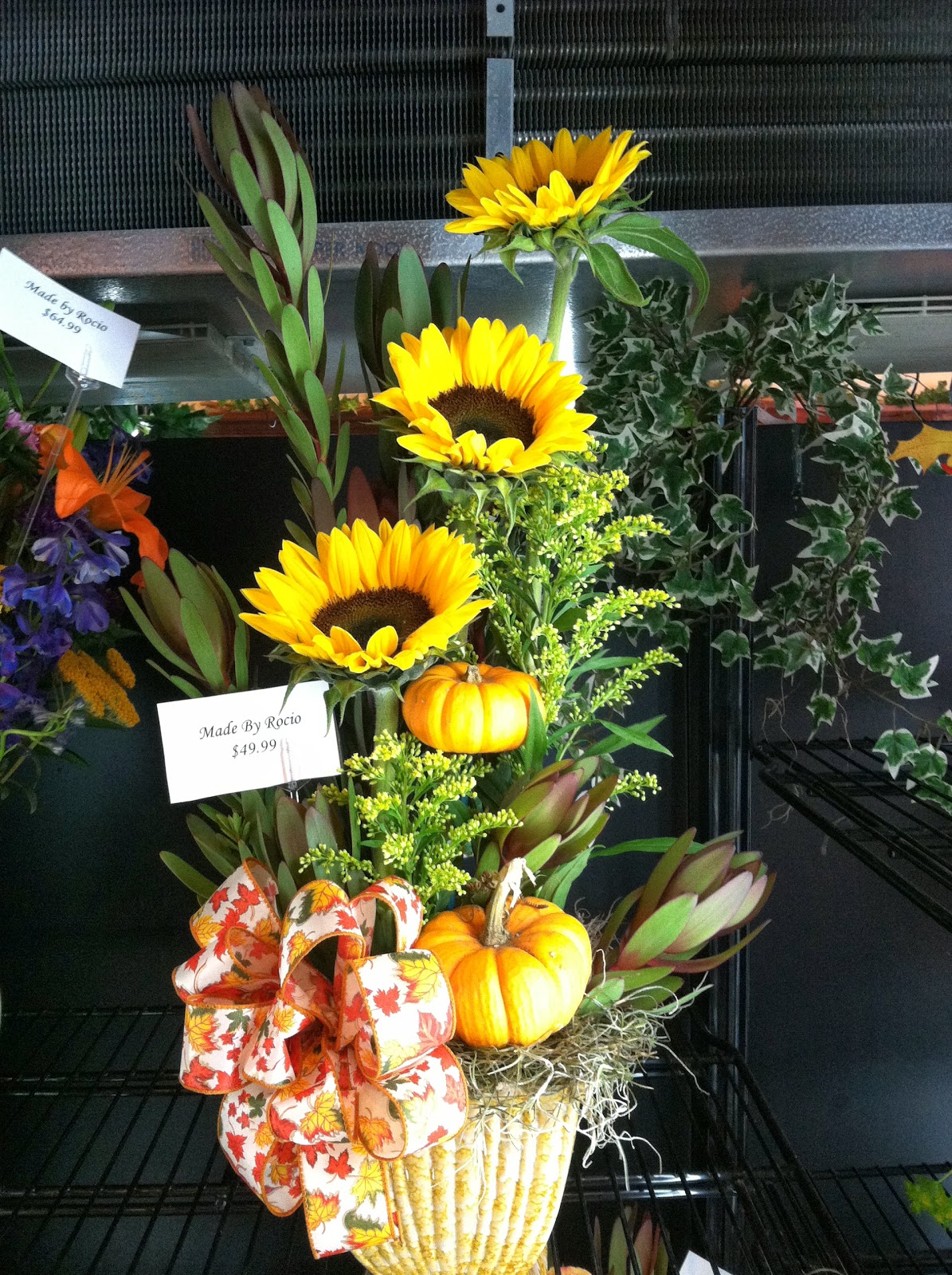 Fall Flower of the Week Sunflowers!