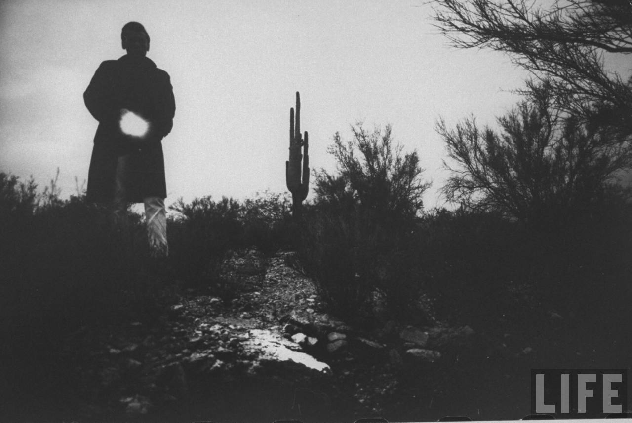 Friends of Murderer Charles Schmid in 1965 vintage everyday