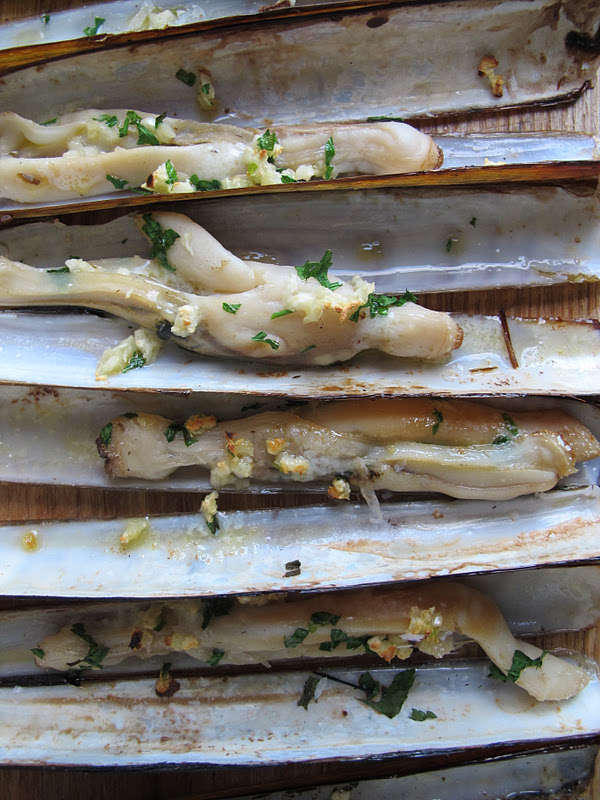 Morsels and Musings razor clams w garlic & parsley butter