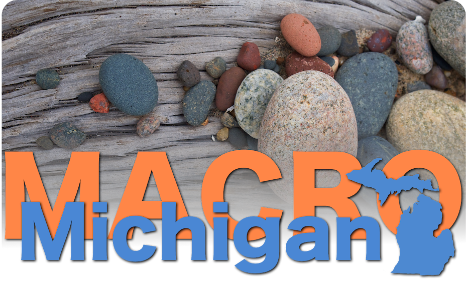 Macro Michigan