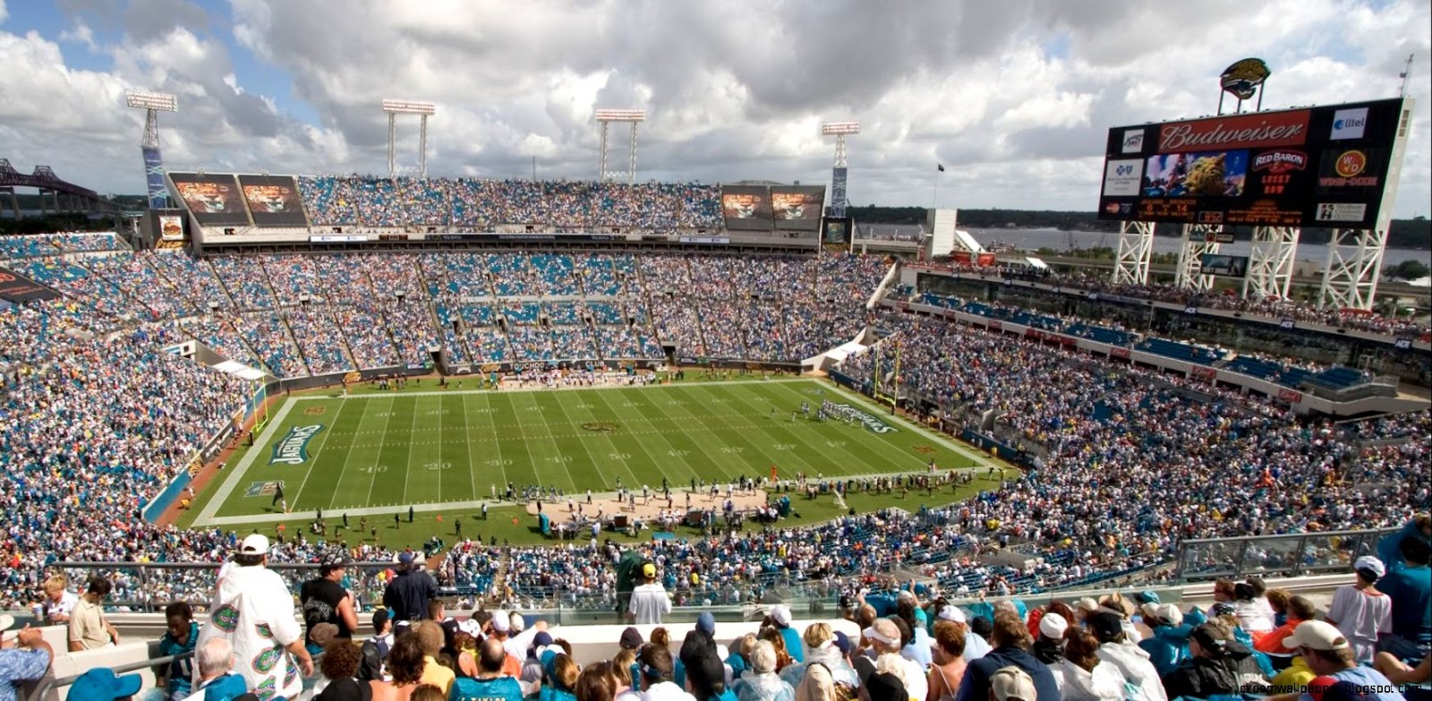 Jacksonville Jaguars History Football in Florida Visit Jacksonville Jaguars History Football in Florida Visit
