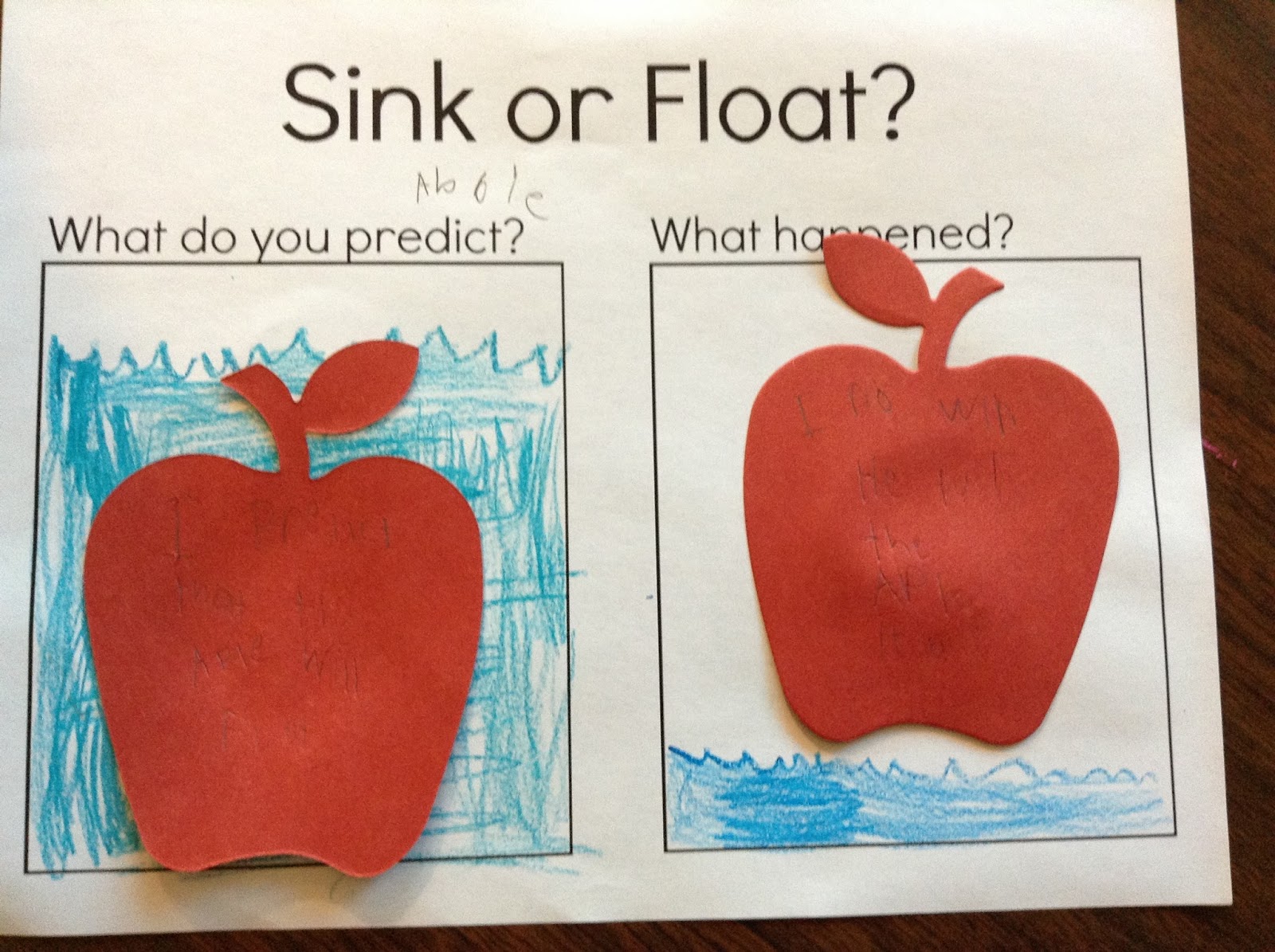 Do Apples Float or Sink? | Fort Kindergarten