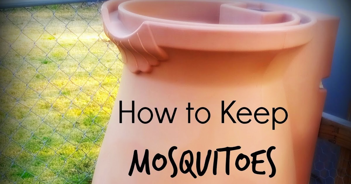 How to Keep Mosquitoes from Breeding in Your Rain Barrel