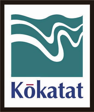 Kokatat