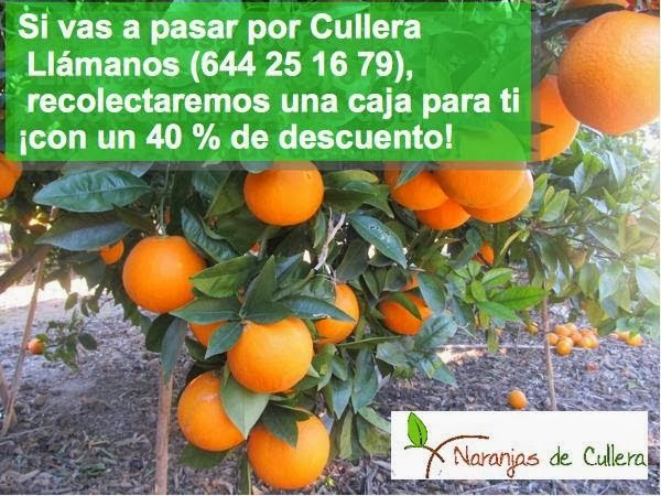 Naranjas de Cullera