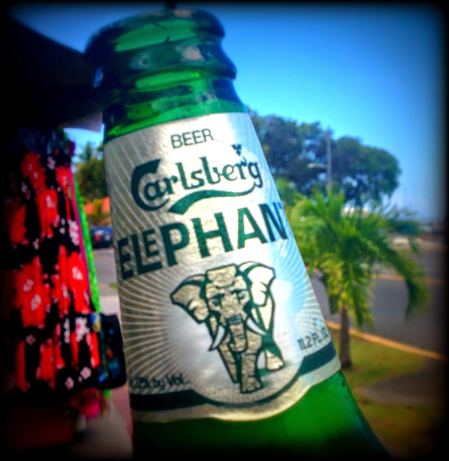 Bräuista Elephant Beer