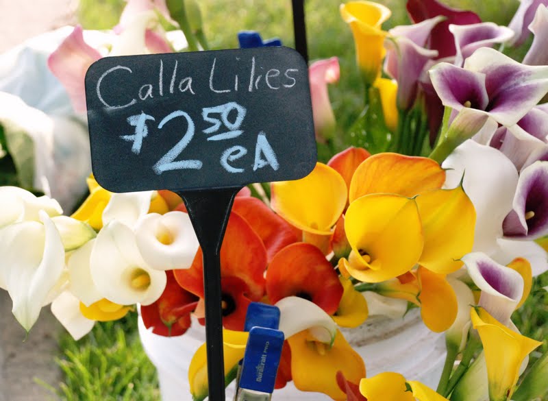 Calla Lilies Wedding Flowers Wedding Decorations