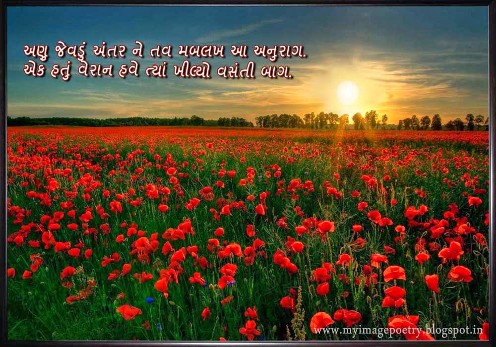 Image Poetry Gujarati Image Poetry on Flower